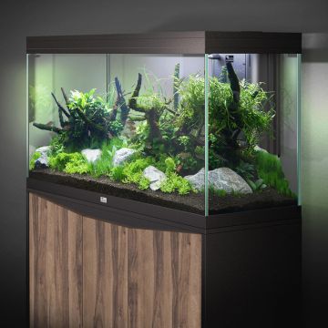 Aquatlantis aquarium Splendid 60 (60x40x56cm) complet avec filtre &...