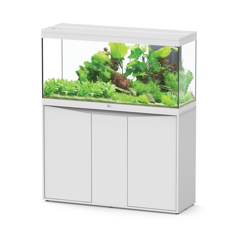 Aquatlantis aquarium Splendid 120 (120x40x61cm) complet avec filtre...