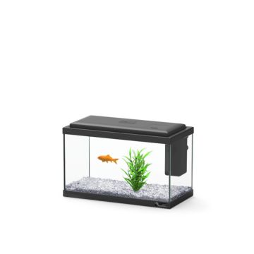 Aquatlantis aquarium Explorer Madrid adaptés aux enfants 10 litres ...