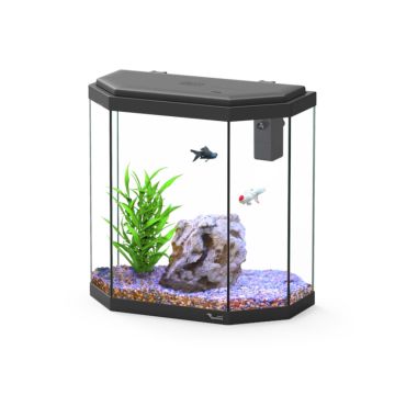 Aquatlantis aquarium Explorer Rome adaptés aux enfants 30 litres (4...