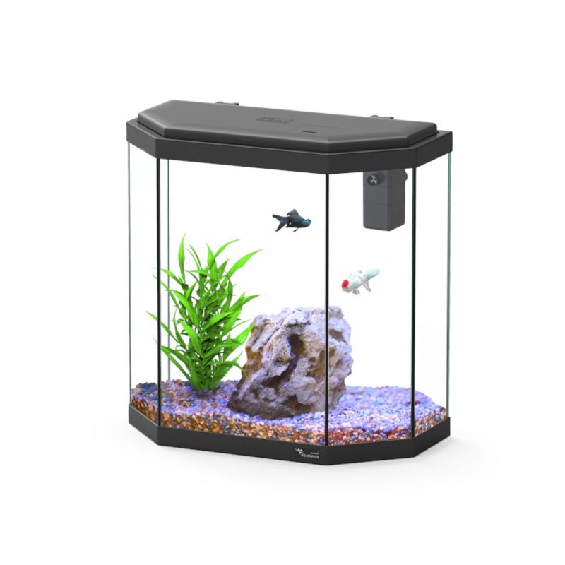 Aquatlantis aquarium Explorer Rome adaptés aux enfants 30 litres (4...