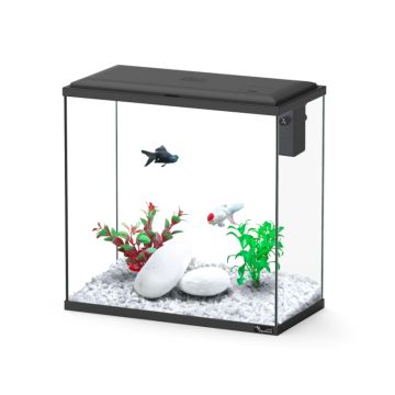 Aquatlantis aquarium Explorer Vienna adaptés aux enfants 42 litres ...