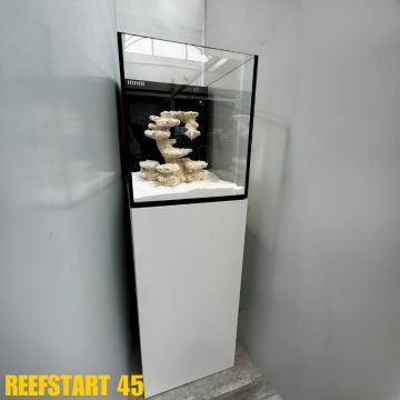 Reef Start 45