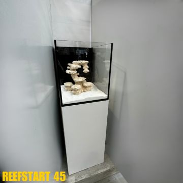 Reef Start 45