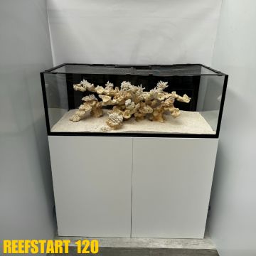 Reef Star 120