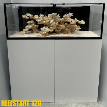 Reef Star 120