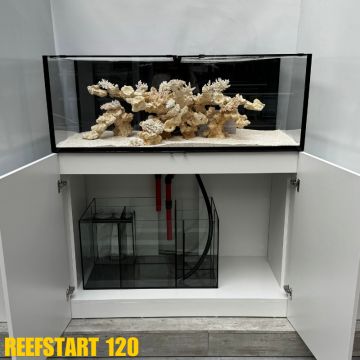 Reef Star 120