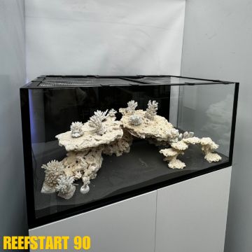 Reef Start 60 Equipé