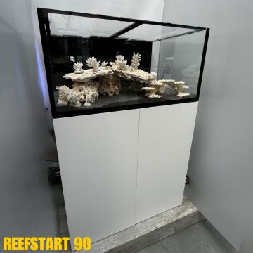 Reef Start 60 Equipé