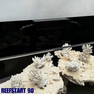 Reef Start 60 Equipé