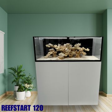 Reef Start 120 Equipé (Version basique) 