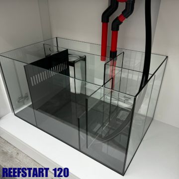 Reef Start 120 Equipé (Version basique) 