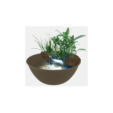 Superfish Mini Pond Marron