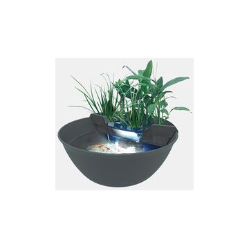 Superfish Mini Pond Gris