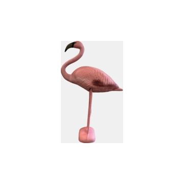 Superfish Flamant rose