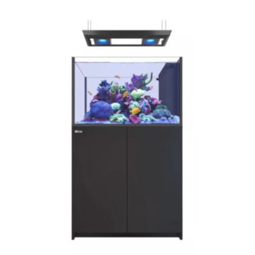 Reefer™ Peninsula 350 G2+ Deluxe - Noir (2 RL 90 + rampe suspendue)...