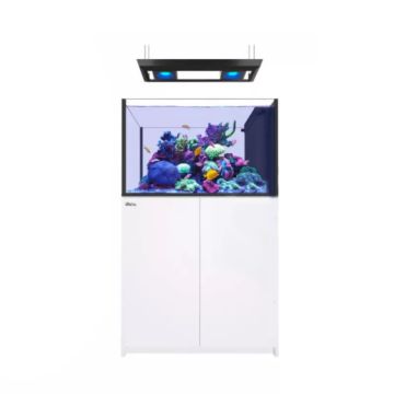 Reefer™ Peninsula 350 G2+ Deluxe - Noir (2 RL 90 + rampe suspendue)...