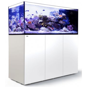 Reefer™ Peninsula S 700 G2+