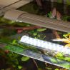 Aquatlantis LED de rechange 60 (pour aquariums de 60cm) ) 