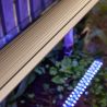 Aquatlantis LED de rechange 60 (pour aquariums de 60cm) ) 