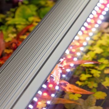 Aquatlantis LED de rechange 60 (pour aquariums de 60cm) ) 