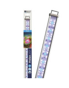 PROTEN LED Bars