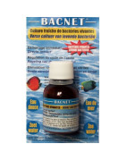 Bacnet bactéries