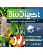 Biodigest bactéries