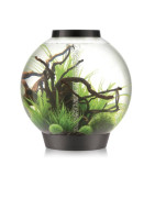 BiOrb aquarium CLASSIC LED 