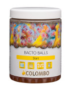 Colombo bactéries