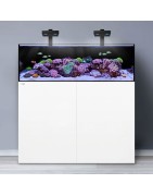 Aquariums Waterbox