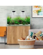 Waterbox  Aquariums