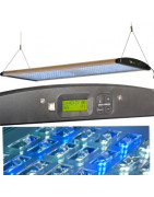 Eclairages LED  AquaMedic