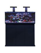 Aquarium DD Aquarium Solution