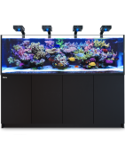 Aquariums RedSea