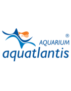 Aquantlantis