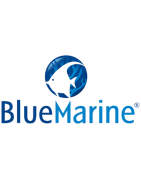 Blue Marine