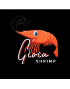 Gioia Shrimp