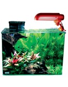 Aquariums AquaticNature