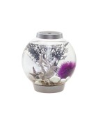 Aquariums biOrb