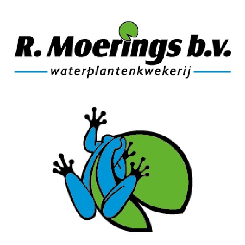 Moerings