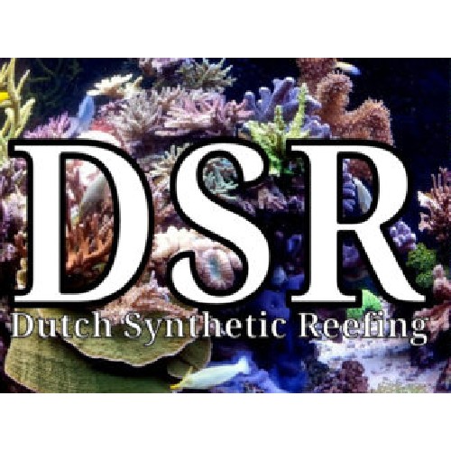 DSR