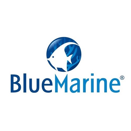 BlueMarine